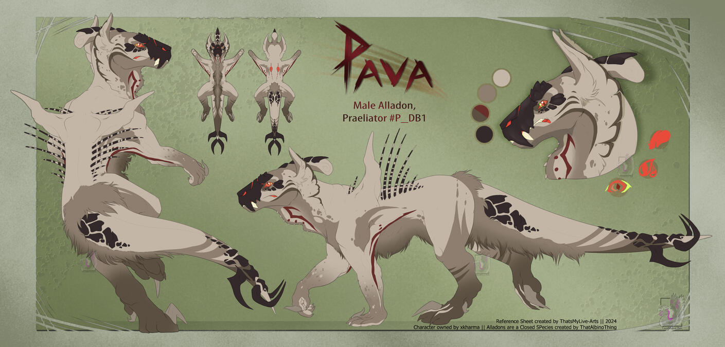 Alladon Pava Reference Sheet